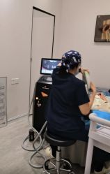 -南京医科大学友谊整形外科医院