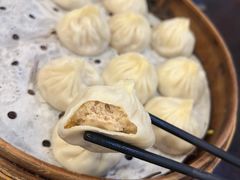 鲜肉小笼-大龙汤包