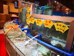 水产区-朱仔记食府(江南大道店)