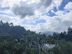-天强农家菜馆