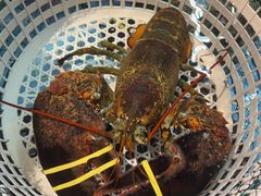 -79号渔船海鲜饭店(宝安店)