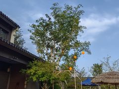 -雅达·阳羡溪山小镇中心
