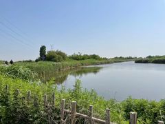 -渭河城市绿地运动公园