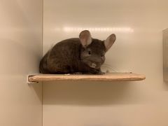 -龙猫仔乐园(惠福东路店)