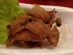 -江阴黄嘉喜来登酒店宴会厅