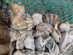 -李哥海鲜烧烤家常菜(孔雀城店)