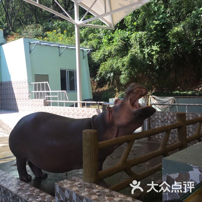 溫州動物園