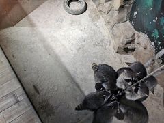 -绿色星球动物主题公园
