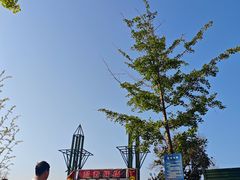 -梁子湖东篱老屋生态庄园
