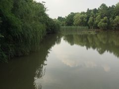 -吴淞炮台湾湿地森林公园烧烤区