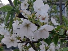 -公益图书馆(江南大学店)