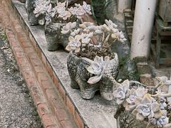 -西双版纳傣族园