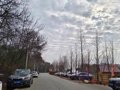 -青龙山国家森林公园