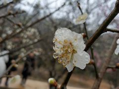-湖南嵩云山国家森林公园