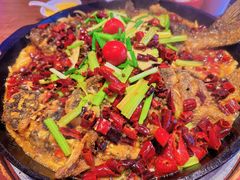 -老板恋上鱼(恒隆广场店)