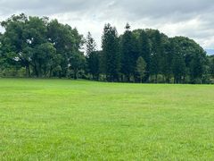 -福建鲤鱼洲酒店