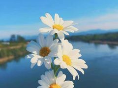 -红星电影世界上海张江绿地店