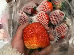 草莓-菜园坝水果市场