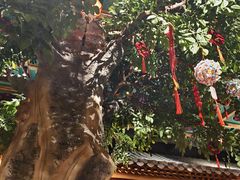 -情满四合院•京菜•烤鸭(动物园店)