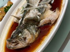 清蒸鲈鱼-普天和酒楼(天津之眼店)