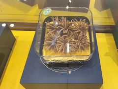 -三江源牌冬虫夏草(中山北路店)