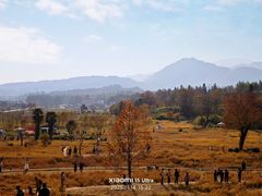 -塔川景区