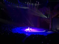 -珠海横琴长隆《卡卡虎奇遇记》