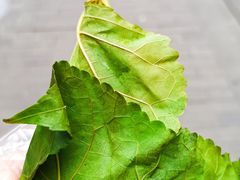 -叶婆婆豆浆馍馍