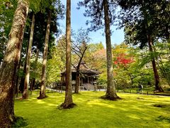 -三千院