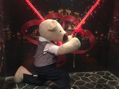 -济州岛泰迪熊博物馆