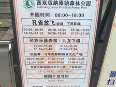 -西双版纳原始森林公园