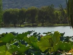 -石湖景区