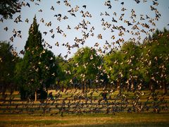 -汉长安城未央宫国家考古遗址公园