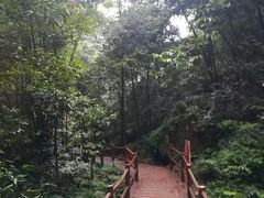 -赤水丹霞旅游区·佛光岩
