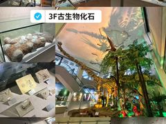 -甘肃地质博物馆