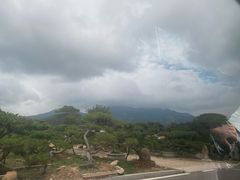 -山里人家花椒鸡(钢城店)