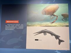 -中国地质博物馆