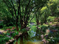 -上海共青森林公园