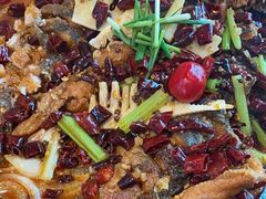 -老板恋上鱼(恒隆广场店)