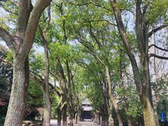 -陈化成纪念馆