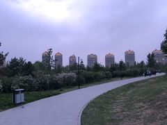 -群力丁香公园