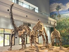 -自贡恐龙博物馆