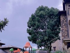 -浙江安吉JW万豪酒店·万豪中餐厅