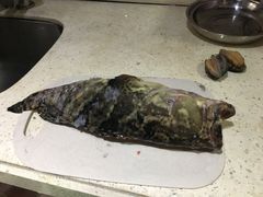 石斑鱼-霞涌市场海鲜摆卖区