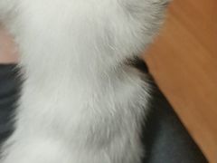 -五厂炸串(四流南路店)