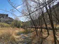 -白河湾生态旅游一条川