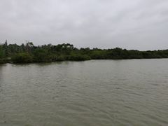 -东寨港红树林旅游区