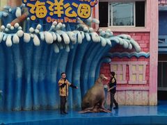 -华夏文旅海洋公园