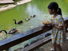-海南热带野生动植物园