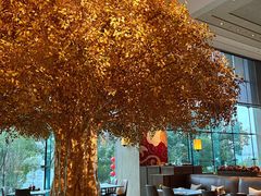 -丽晶轩中餐厅(重庆丽晶酒店)